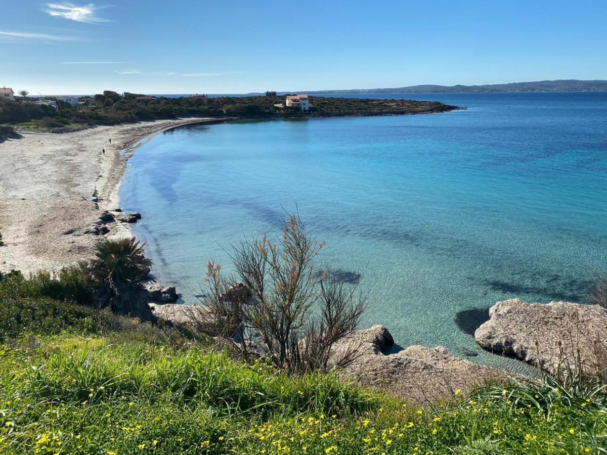 I Fenicotteri - Appartamenti Sul Mare 卡拉赛达 外观 照片